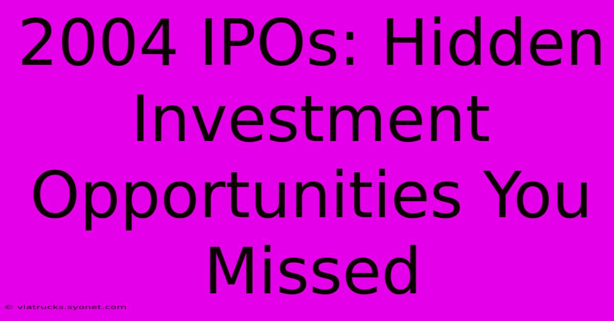 2004 IPOs: Hidden Investment Opportunities You Missed