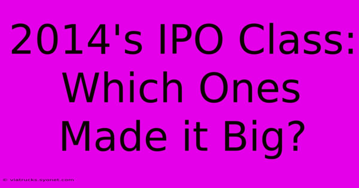 2014's IPO Class: Which Ones Made It Big?