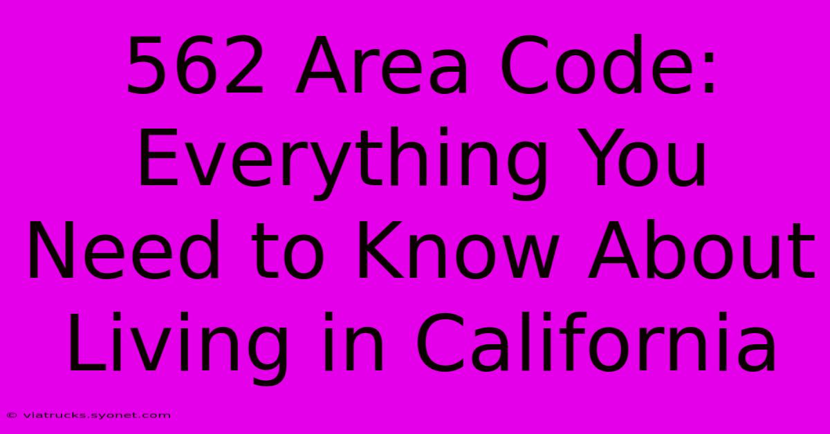 562 Area Code: Everything You Need To Know About Living In California