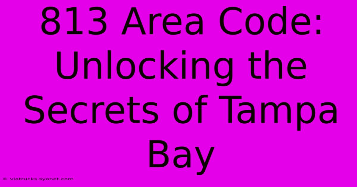 813 Area Code: Unlocking The Secrets Of Tampa Bay