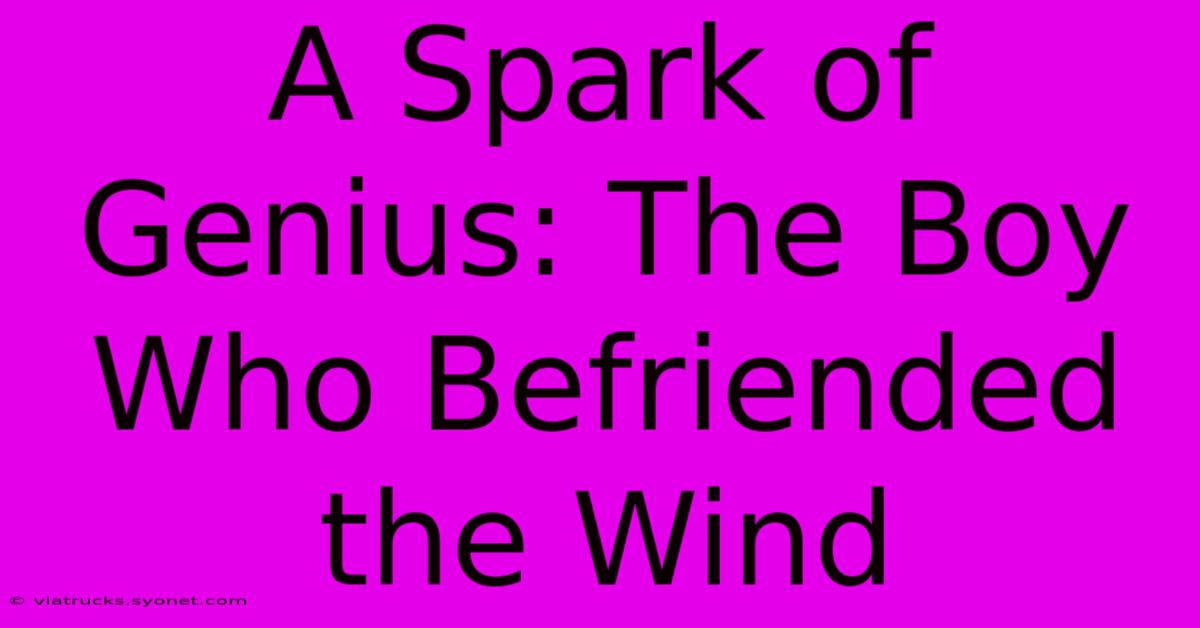 A Spark Of Genius: The Boy Who Befriended The Wind