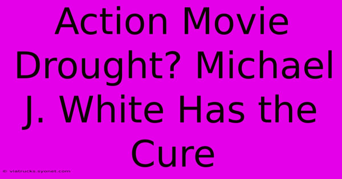 Action Movie Drought? Michael J. White Has The Cure