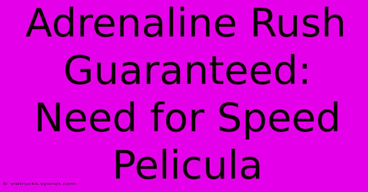 Adrenaline Rush Guaranteed: Need For Speed Pelicula