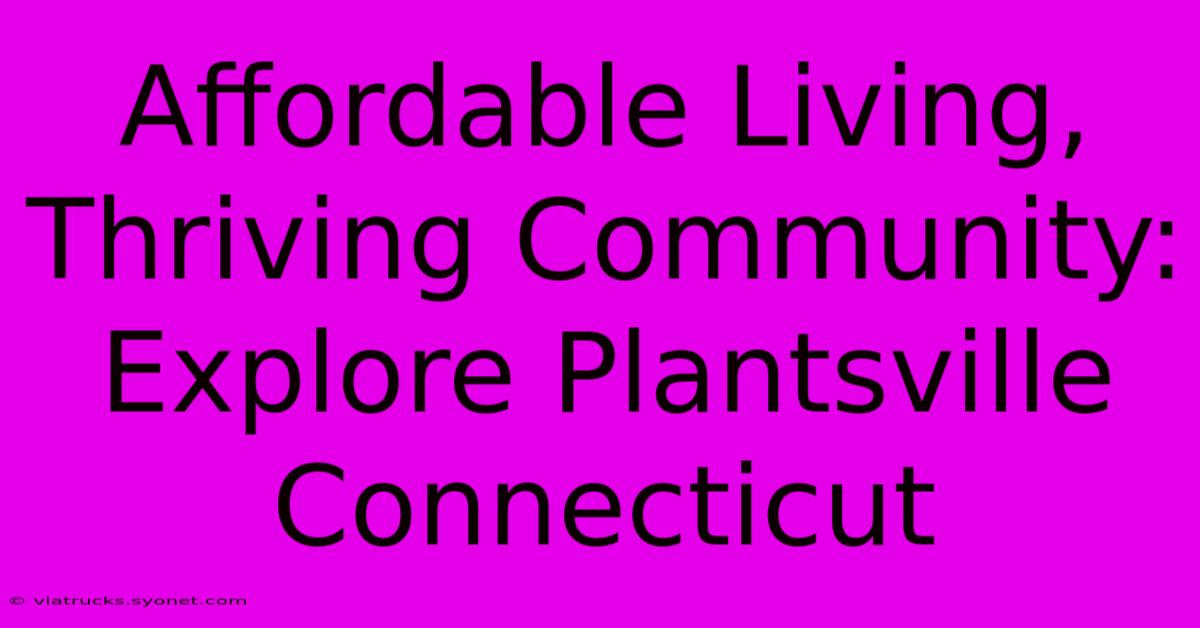 Affordable Living, Thriving Community: Explore Plantsville Connecticut