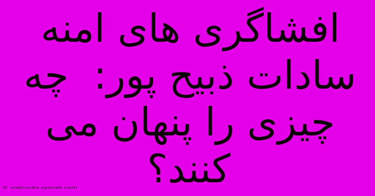 افشاگری های امنه سادات ذبیح پور:  چه چیزی را پنهان می کنند؟