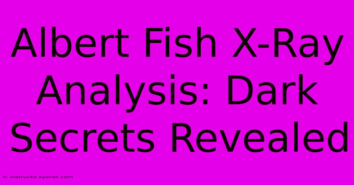 Albert Fish X-Ray Analysis: Dark Secrets Revealed