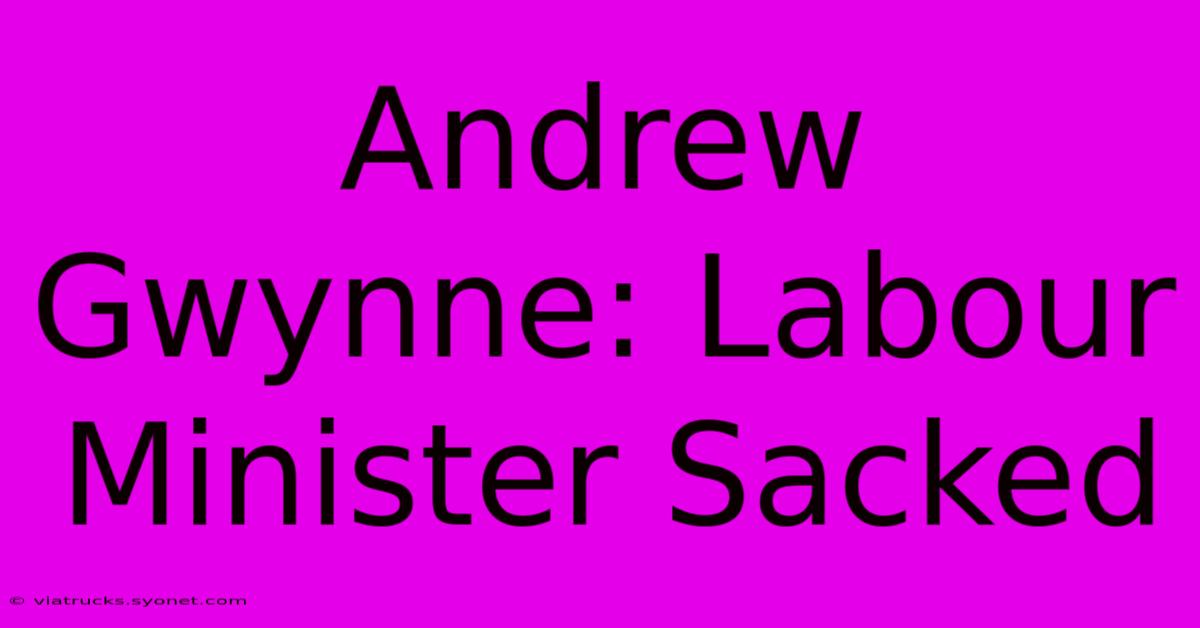 Andrew Gwynne: Labour Minister Sacked