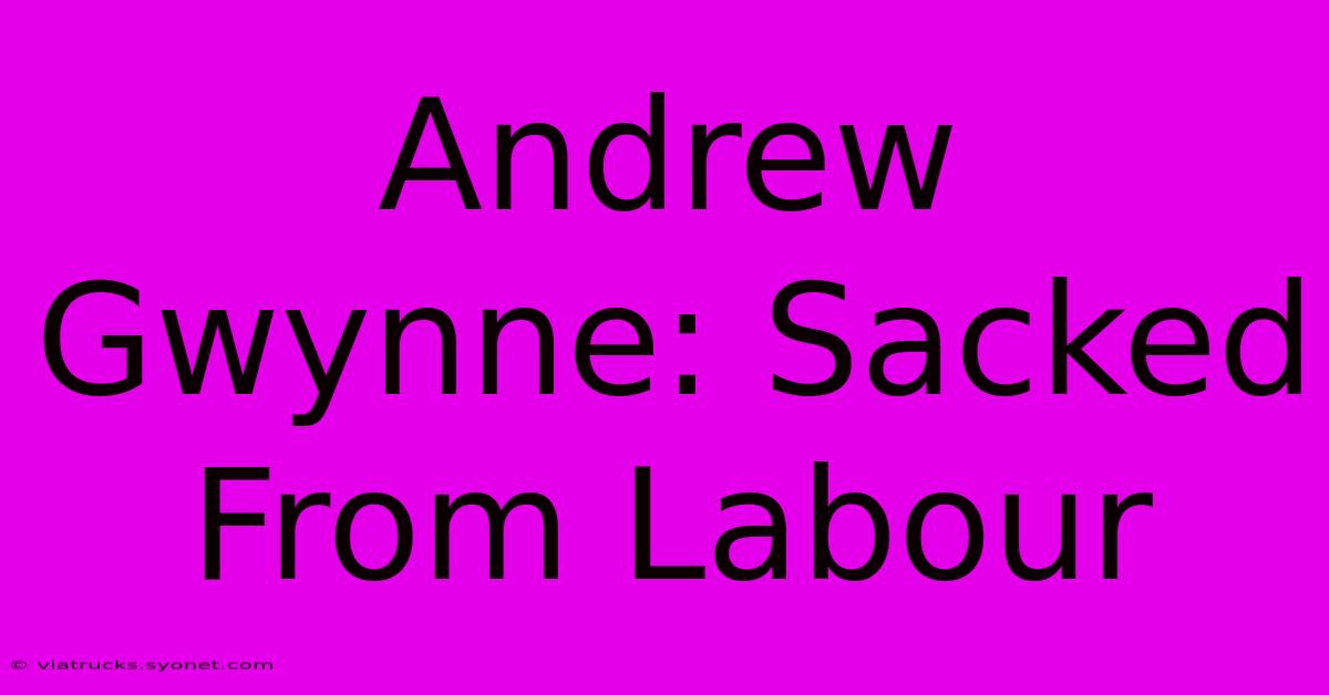 Andrew Gwynne: Sacked From Labour