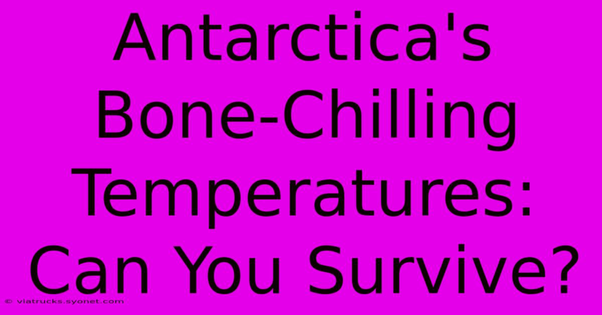 Antarctica's Bone-Chilling Temperatures: Can You Survive?