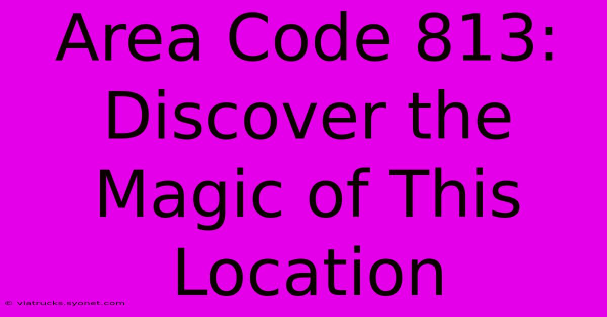 Area Code 813: Discover The Magic Of This Location