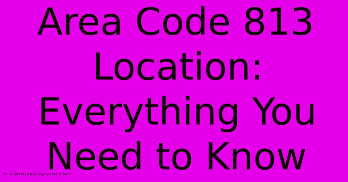 Area Code 813 Location: Everything You Need To Know