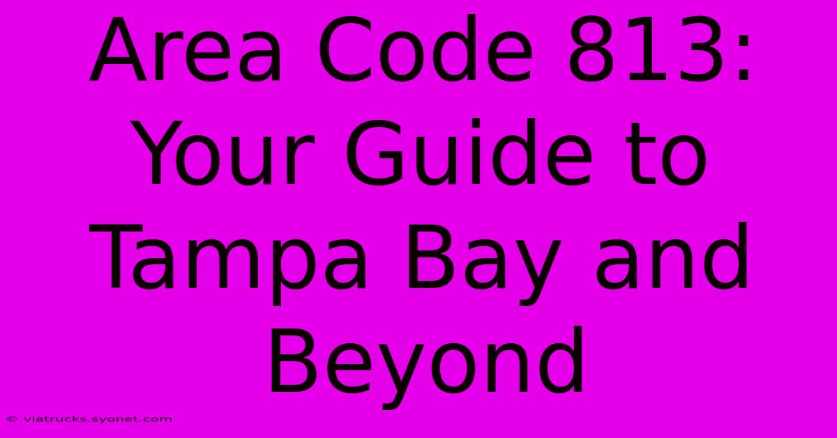 Area Code 813: Your Guide To Tampa Bay And Beyond