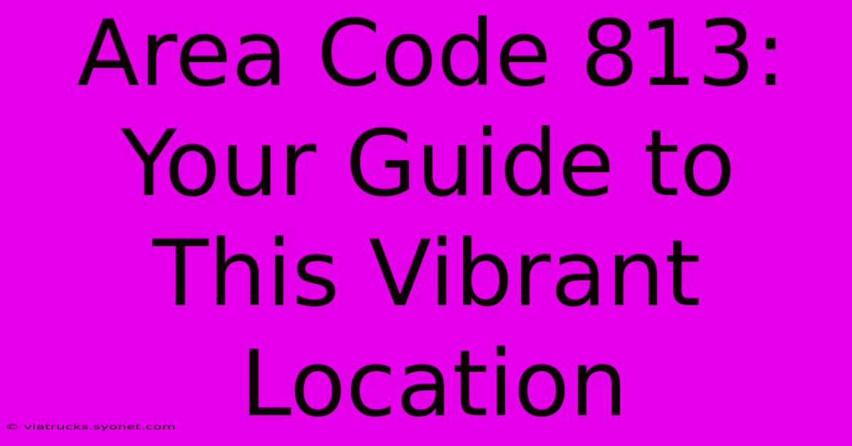 Area Code 813: Your Guide To This Vibrant Location