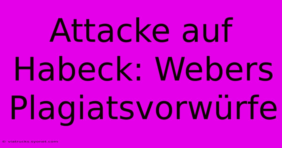 Attacke Auf Habeck: Webers Plagiatsvorwürfe