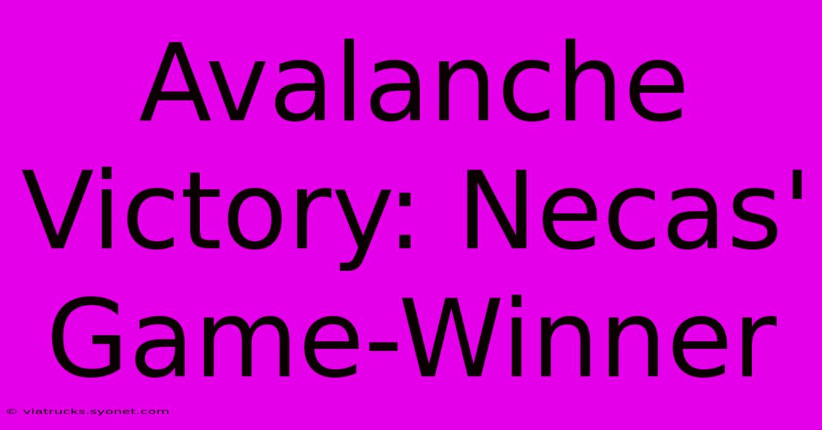 Avalanche Victory: Necas' Game-Winner