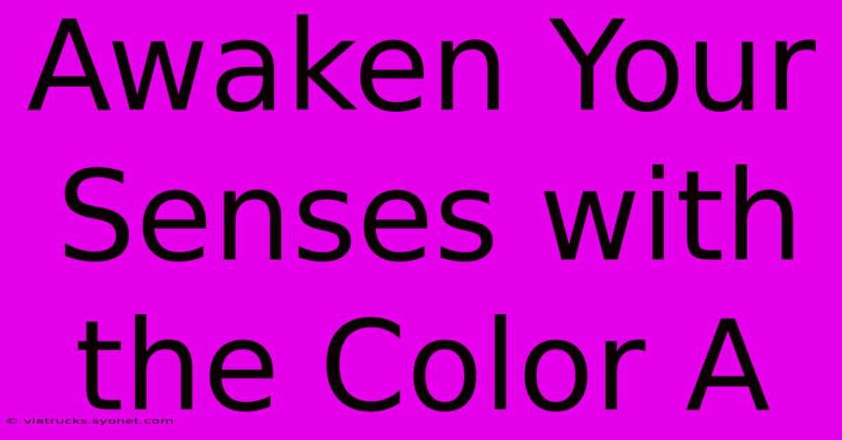 Awaken Your Senses With The Color A