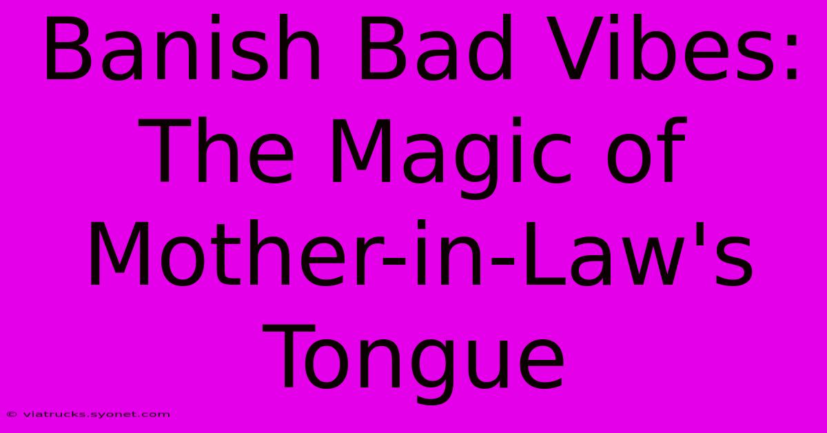 Banish Bad Vibes: The Magic Of Mother-in-Law's Tongue