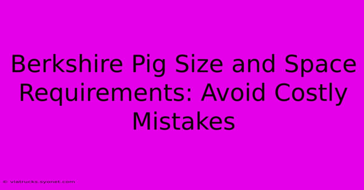 Berkshire Pig Size And Space Requirements: Avoid Costly Mistakes