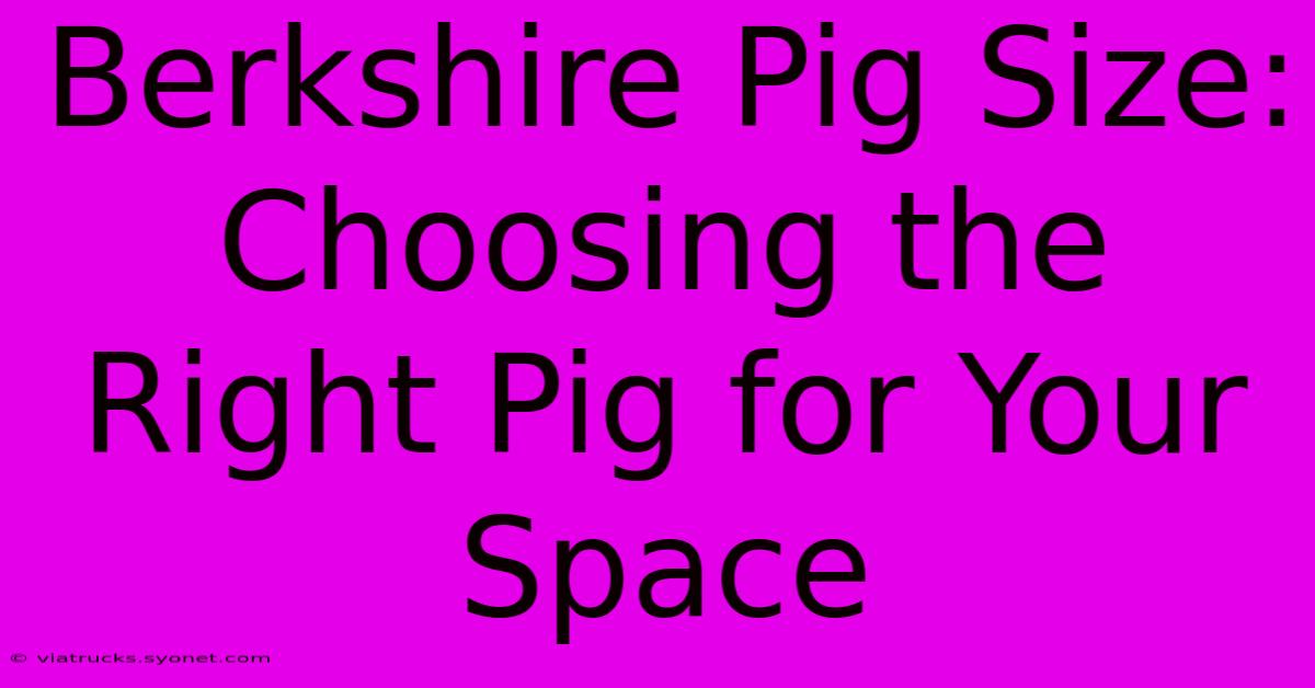 Berkshire Pig Size: Choosing The Right Pig For Your Space