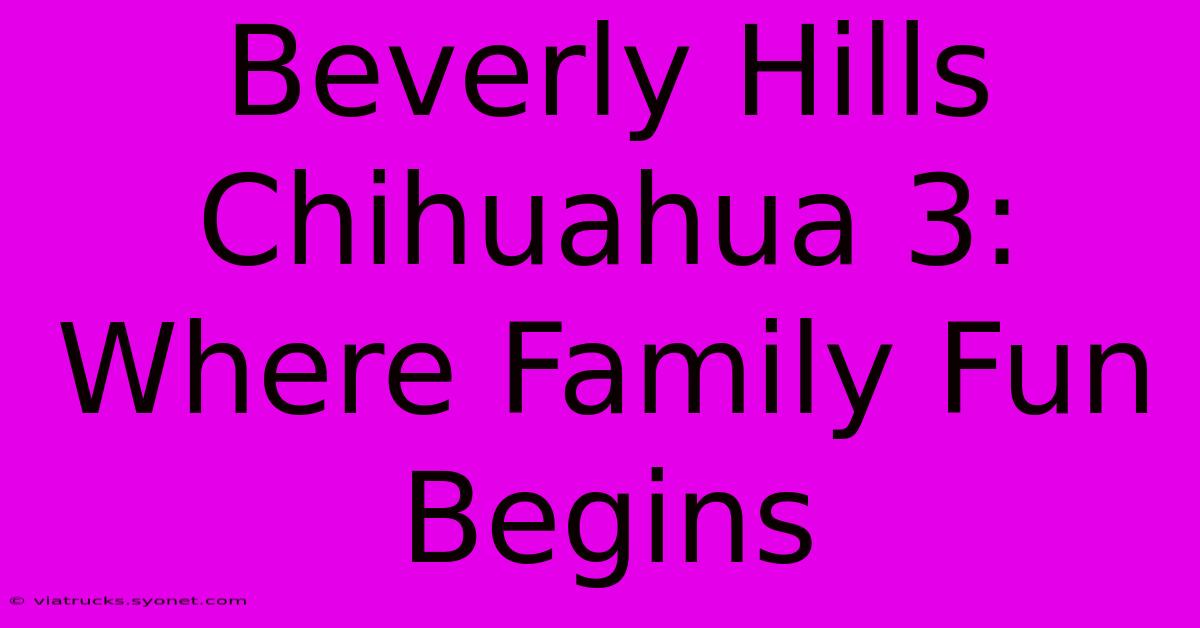 Beverly Hills Chihuahua 3: Where Family Fun Begins