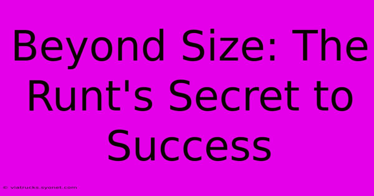 Beyond Size: The Runt's Secret To Success