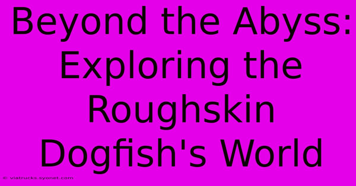 Beyond The Abyss: Exploring The Roughskin Dogfish's World