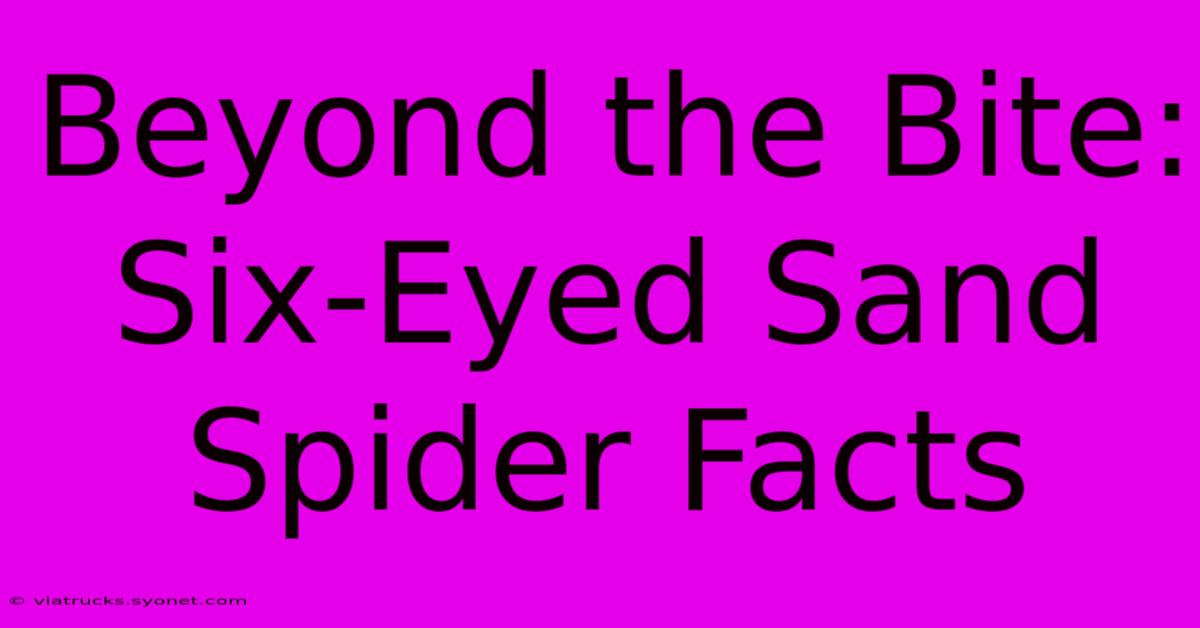 Beyond The Bite: Six-Eyed Sand Spider Facts