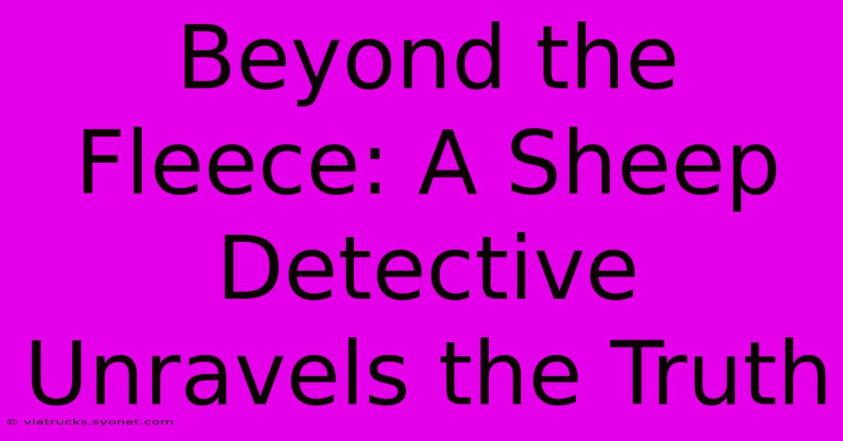 Beyond The Fleece: A Sheep Detective Unravels The Truth