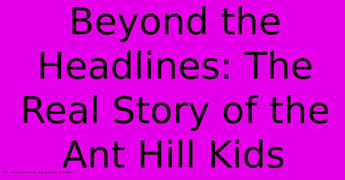 Beyond The Headlines: The Real Story Of The Ant Hill Kids