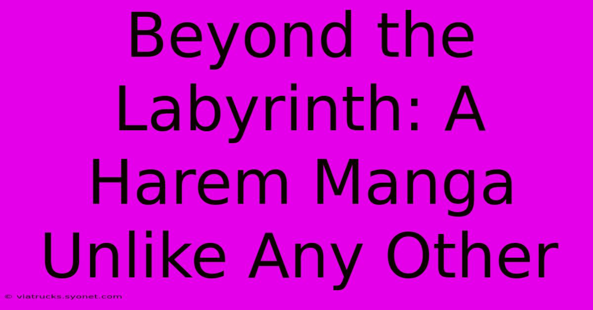 Beyond The Labyrinth: A Harem Manga Unlike Any Other