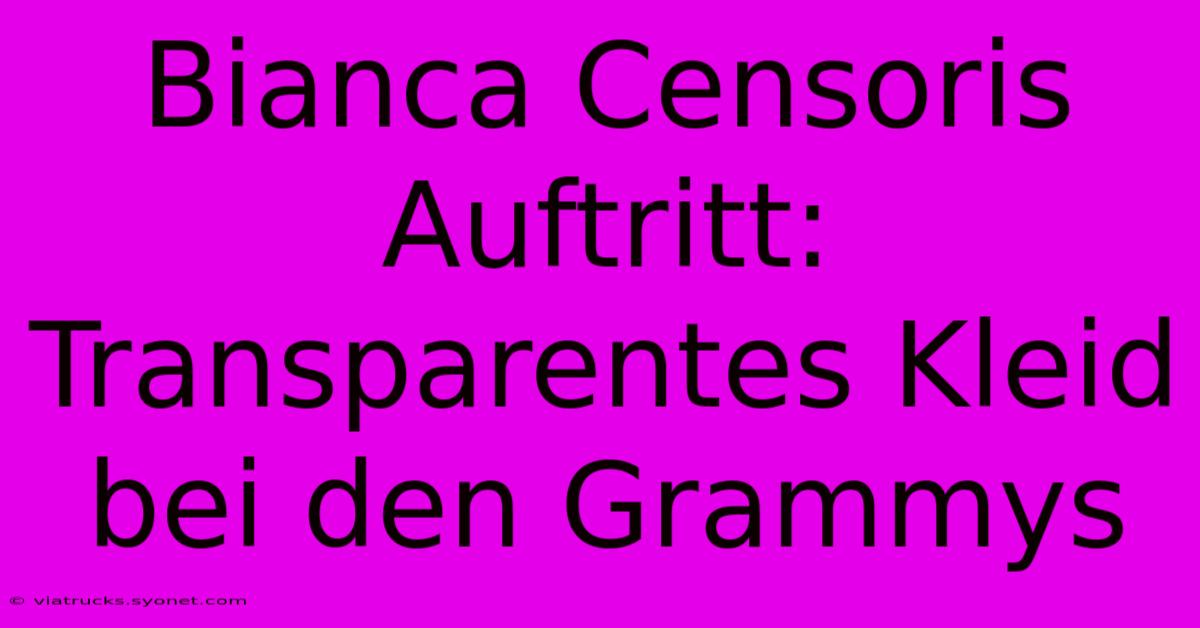 Bianca Censoris Auftritt: Transparentes Kleid Bei Den Grammys