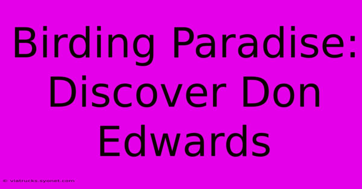 Birding Paradise: Discover Don Edwards