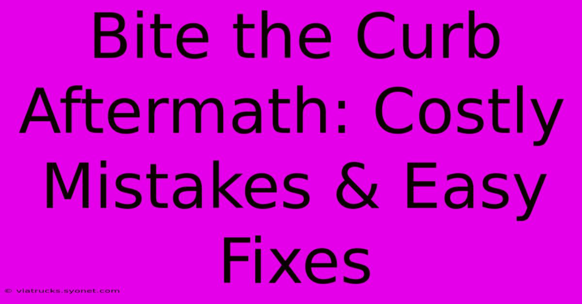 Bite The Curb Aftermath: Costly Mistakes & Easy Fixes