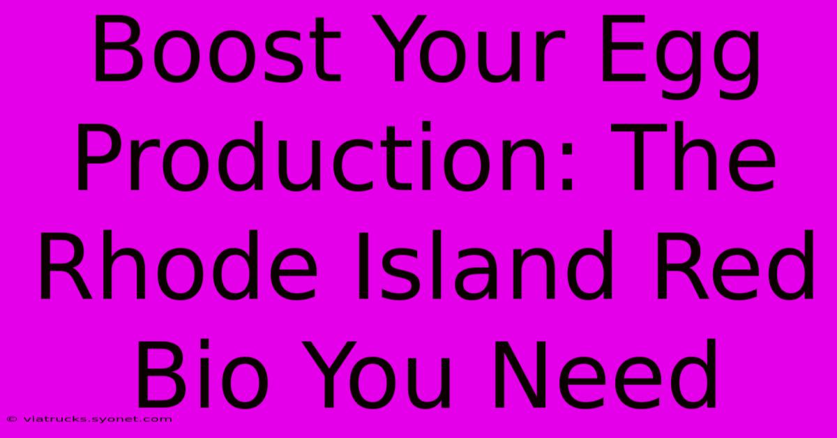 Boost Your Egg Production: The Rhode Island Red Bio You Need