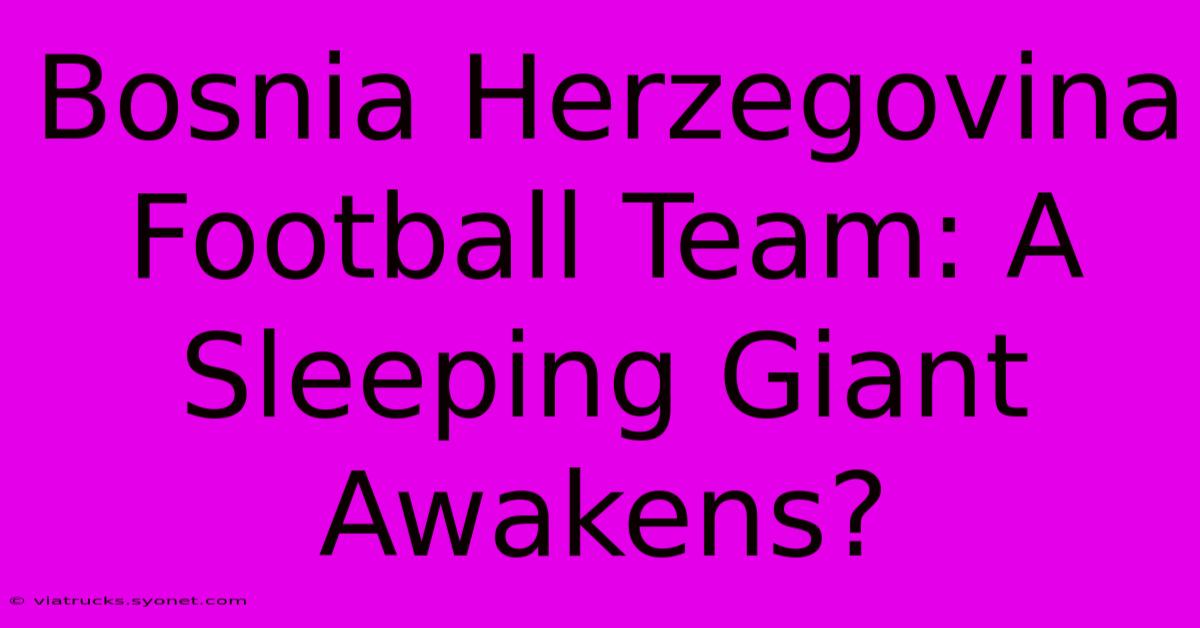 Bosnia Herzegovina Football Team: A Sleeping Giant Awakens?