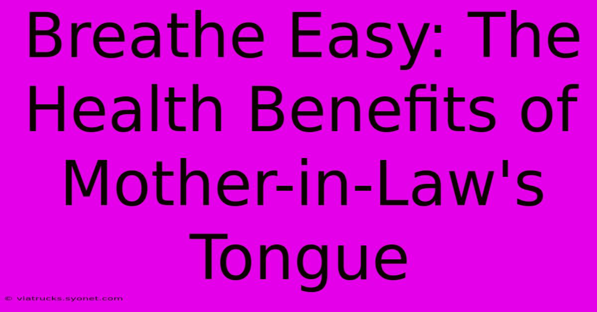 Breathe Easy: The Health Benefits Of Mother-in-Law's Tongue