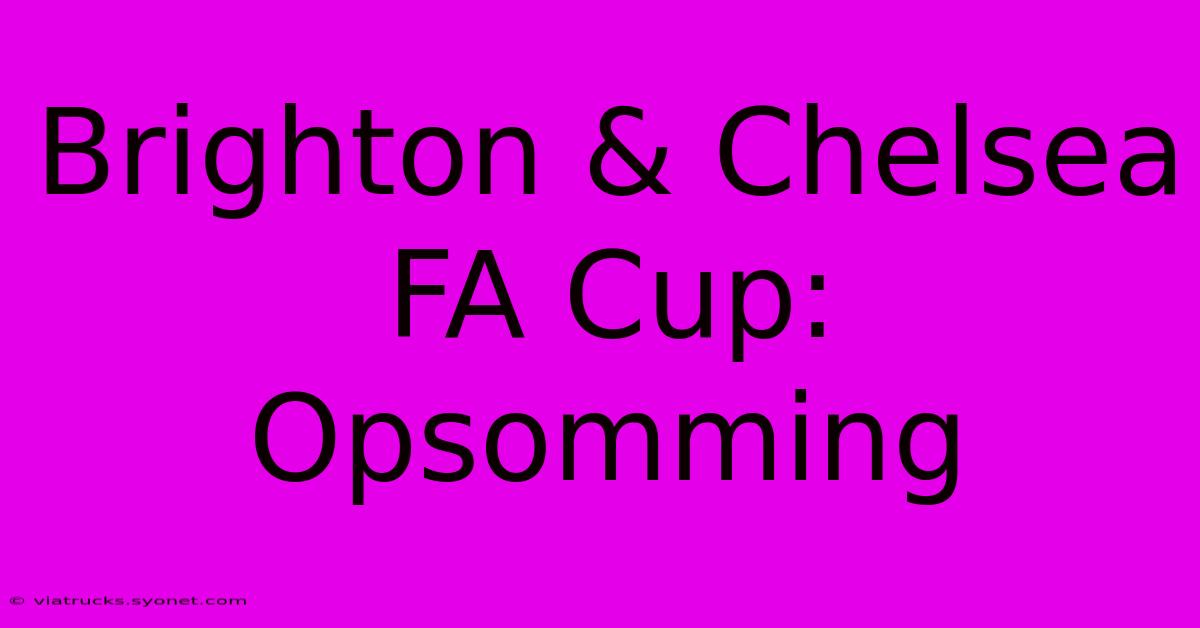 Brighton & Chelsea FA Cup: Opsomming