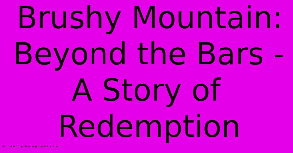 Brushy Mountain: Beyond The Bars - A Story Of Redemption