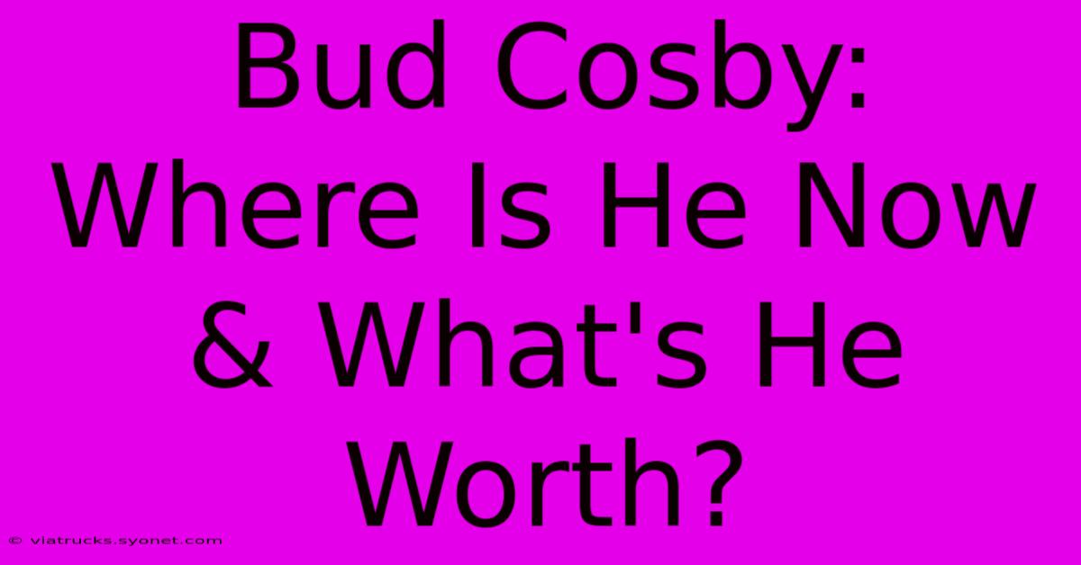 Bud Cosby: Where Is He Now & What's He Worth?