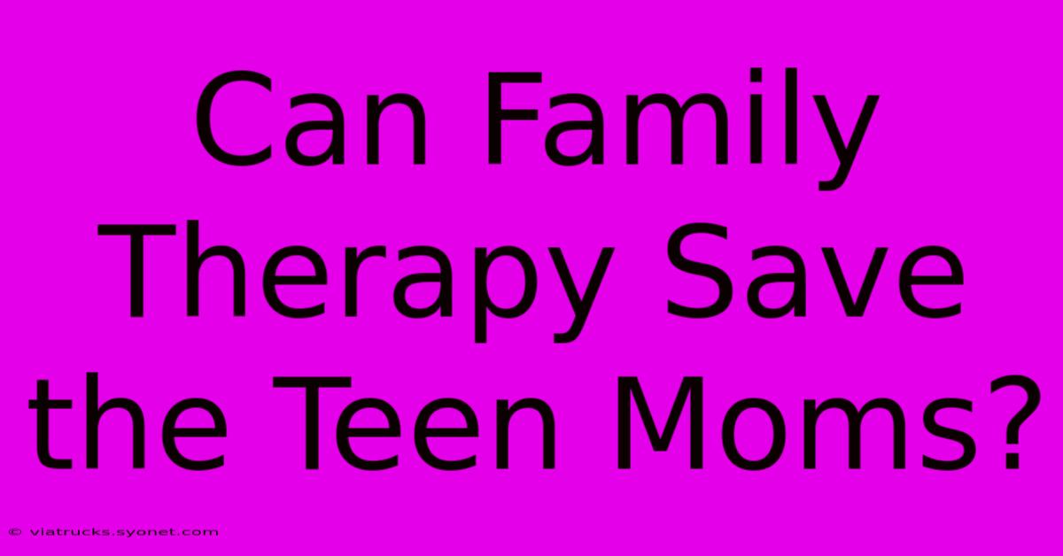 Can Family Therapy Save The Teen Moms?