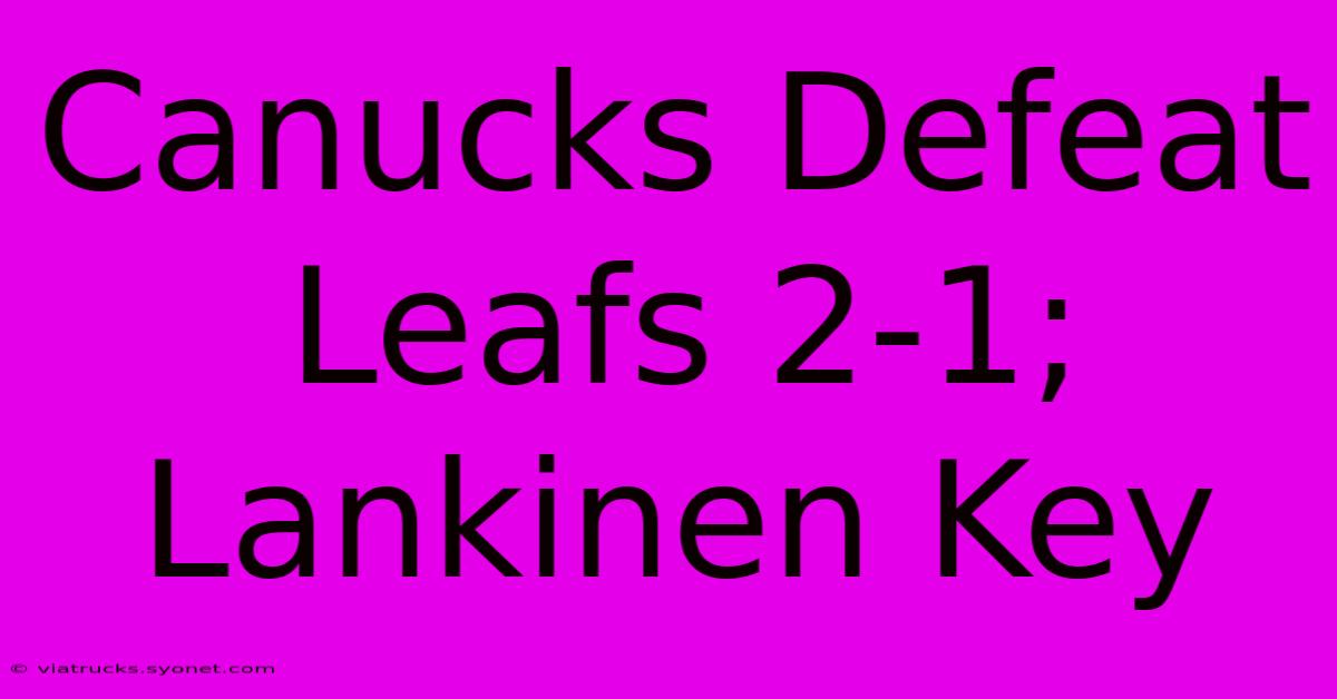 Canucks Defeat Leafs 2-1; Lankinen Key