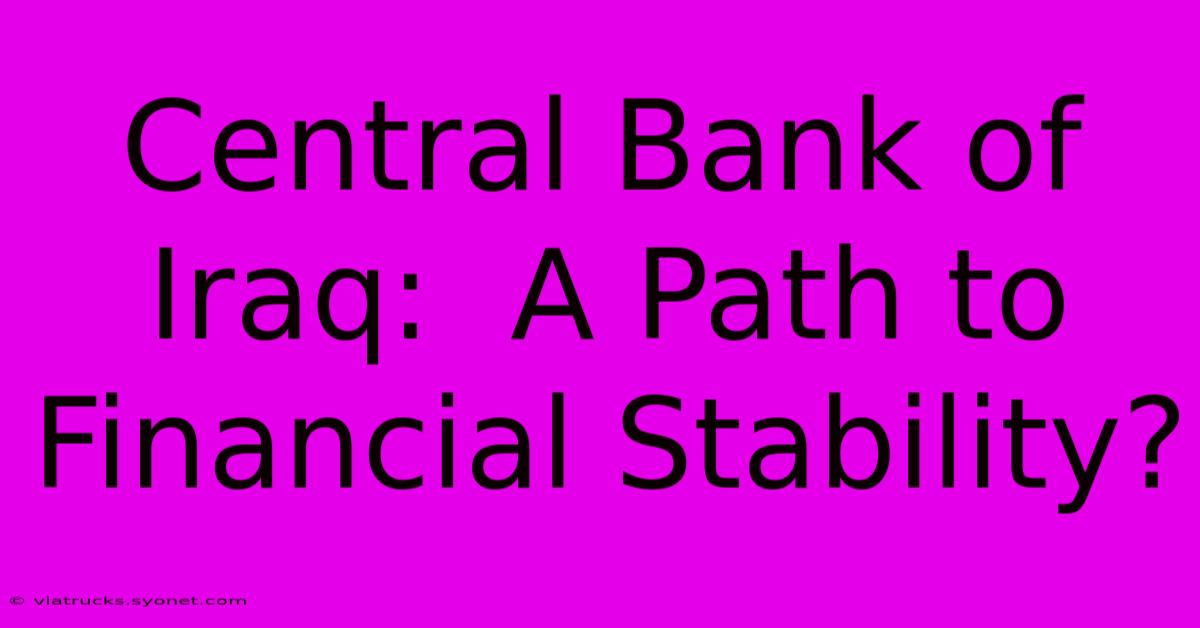 Central Bank Of Iraq:  A Path To Financial Stability?