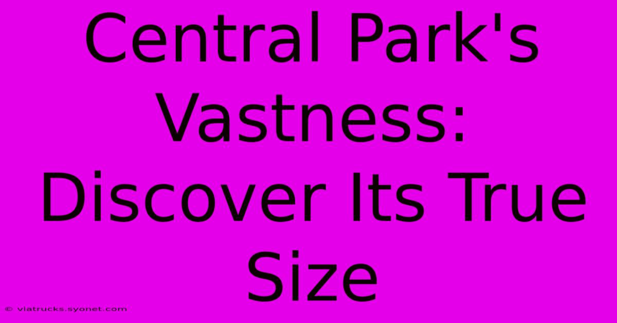 Central Park's Vastness: Discover Its True Size