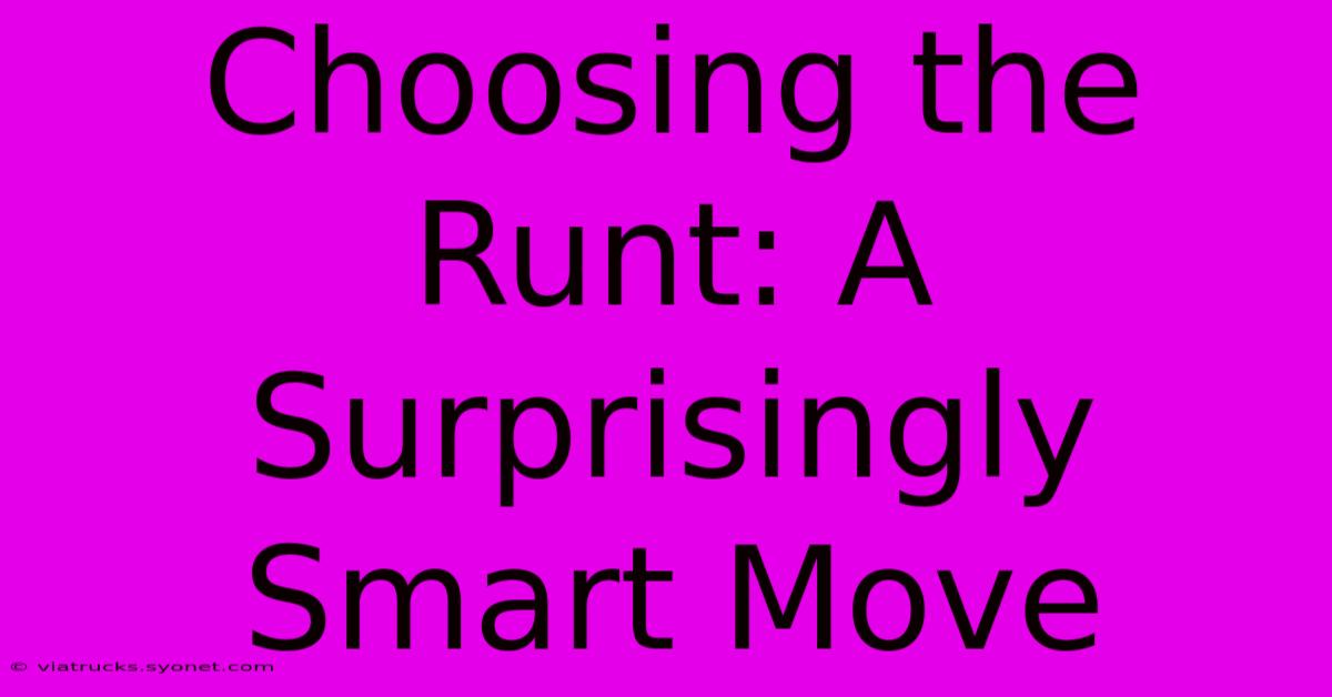 Choosing The Runt: A Surprisingly Smart Move