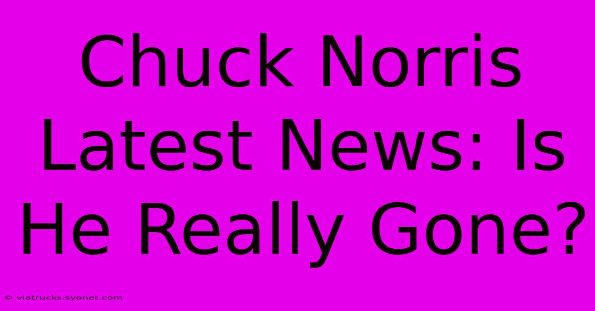 Chuck Norris Latest News: Is He Really Gone?