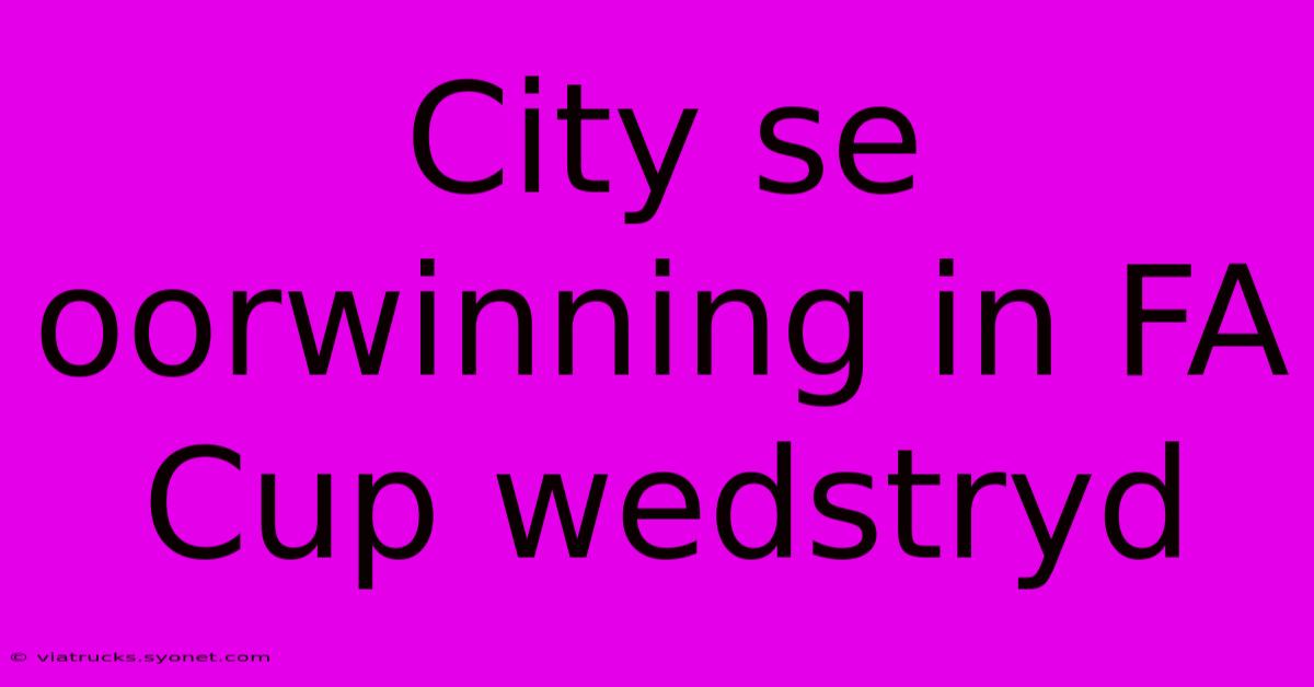 City Se Oorwinning In FA Cup Wedstryd