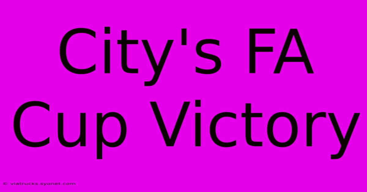 City's FA Cup Victory