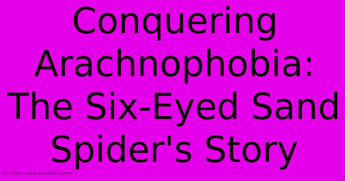 Conquering Arachnophobia: The Six-Eyed Sand Spider's Story