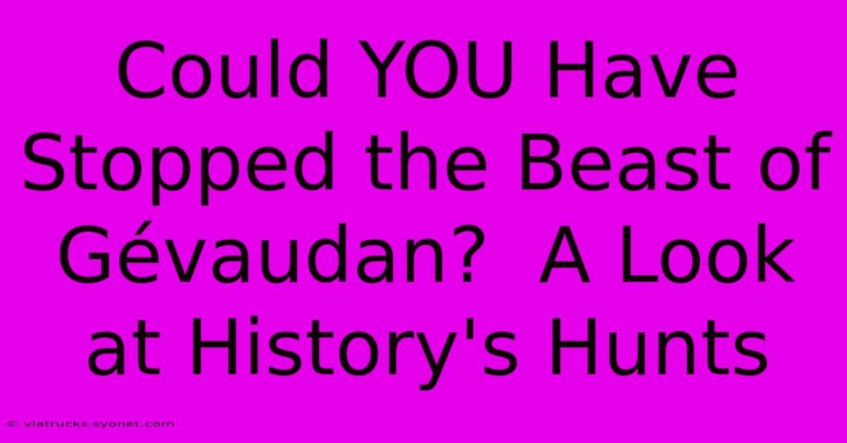 Could YOU Have Stopped The Beast Of Gévaudan?  A Look At History's Hunts