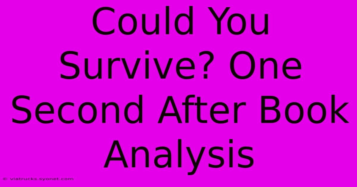 Could You Survive? One Second After Book Analysis